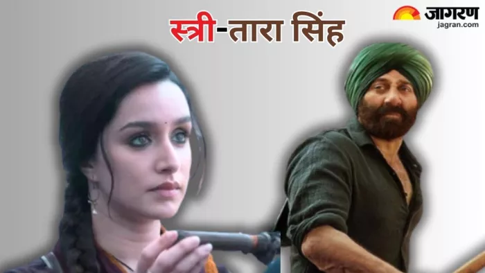 सनी देओल को पसंद आई स्त्री 2 (Photo Credit-Jagran)