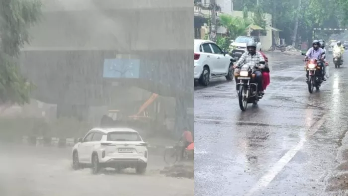 बारिश के बाद लोगों को उमस भरी गर्मी से राहत मिली। जागरण