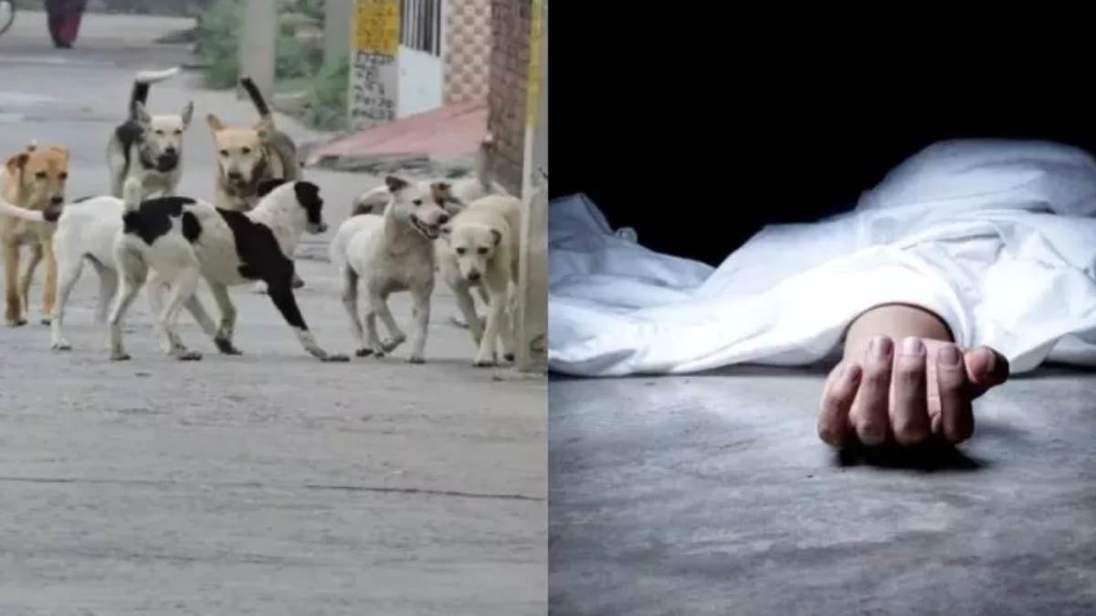 https://www.jagranimages.com/images/newimg/22082025/22_08_2025-dogs_2_24021570_172718155.jpg