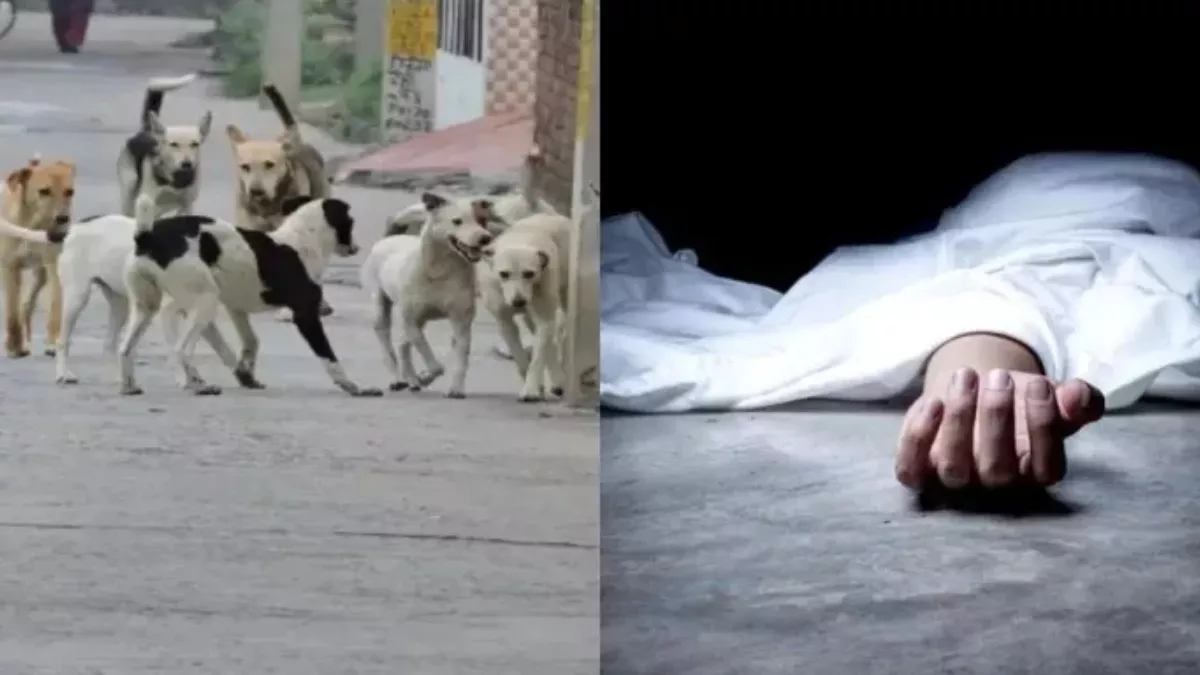 महेंद्रगढ़ में बीते दो दिन से लापता शख्स का मिला शव, नोच रहे थे कुत्ते; वारदात से पूरे इलाके में सनसनी