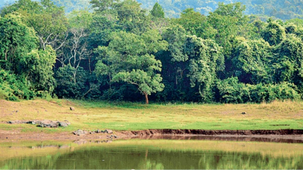 https://www.jagranimages.com/images/newimg/22082025/22_08_2025-jharkhand_24021433.jpg