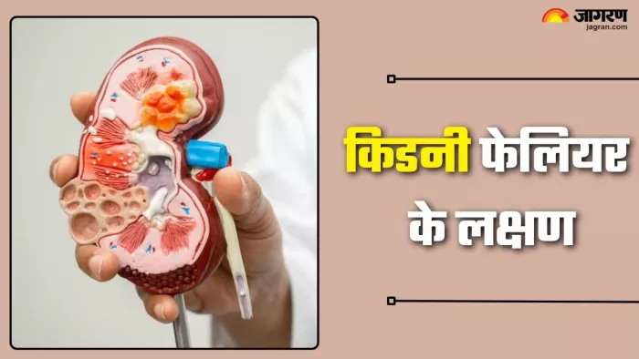 किडनी फेलियर कारण, लक्षण और शुरुआती पहचान (Picture Credit- Freepik)