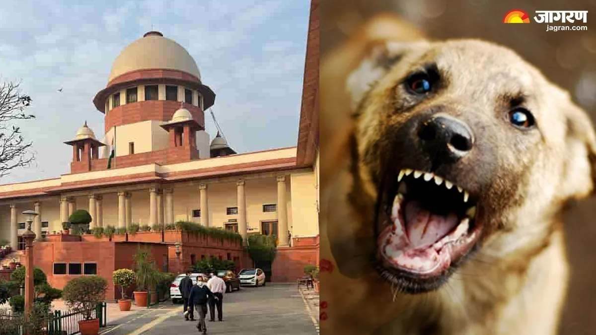 https://www.jagranimages.com/images/newimg/22082025/22_08_2025-sc_dogs_verdict_24021080_112511792.jpg