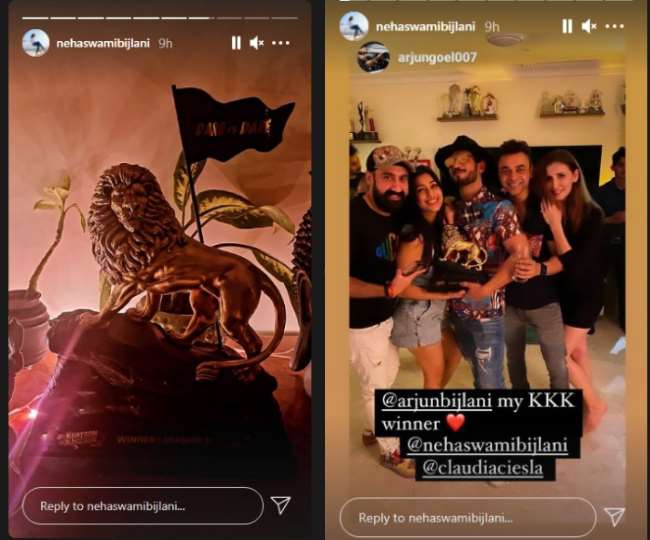 Photo credit - Arjun Wife Insta Story Photo
