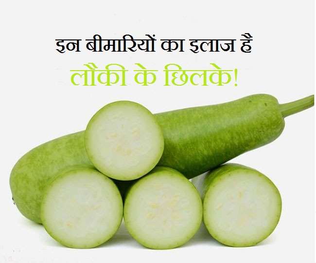 Bottle Gourd Benefits जान लेंगे ये 5 फायदे तो कभी नहीं फेकेंगे लौकी के छिलके! Know 5 Amazing