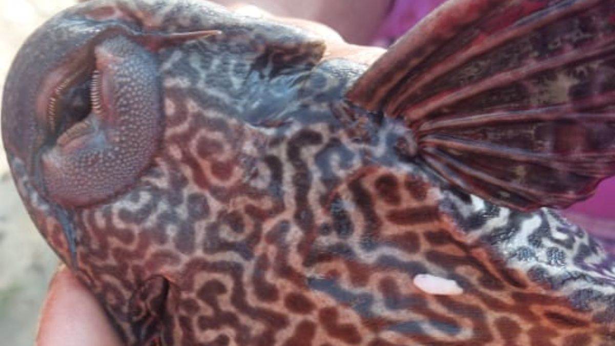 News Article Hero Image