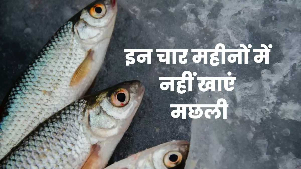 Benefits Eating Fish: इन चार महीनों में क्यों नहीं खाना चाहिए मछली, जानिए इसका वैज्ञानिक कारण