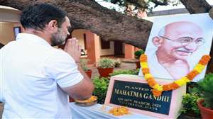 सी कॉलेज (UC College) अलुवा में बापू द्वारा लगाए गए आम के पेड़ को श्रद्धांजलि देते हुए राहुल गांधी