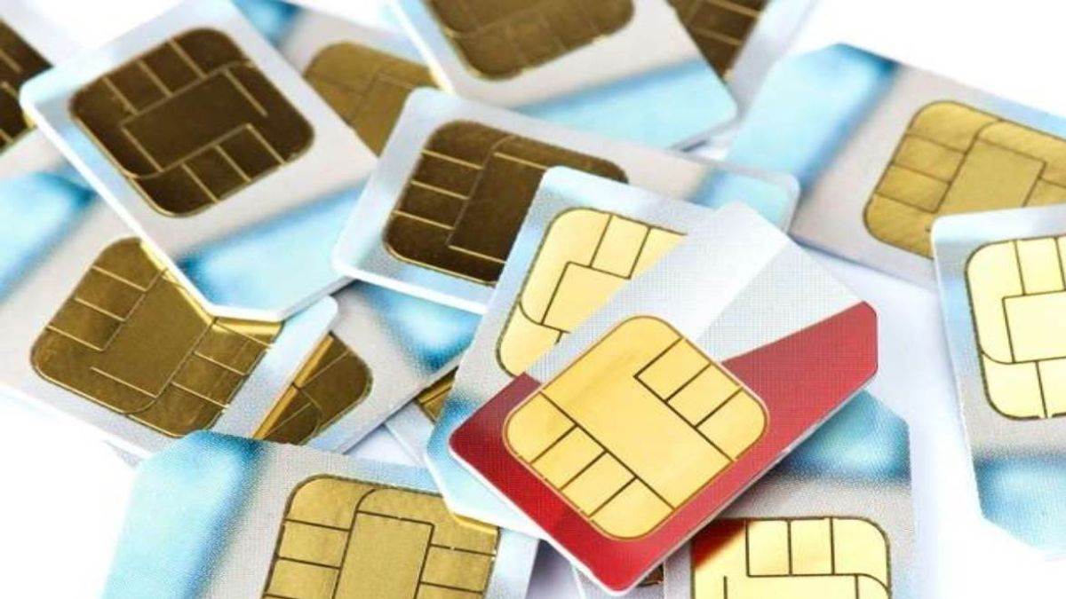 uttarakhand crime news 344 sim issued on fake id in udham singh nagar and haridwar