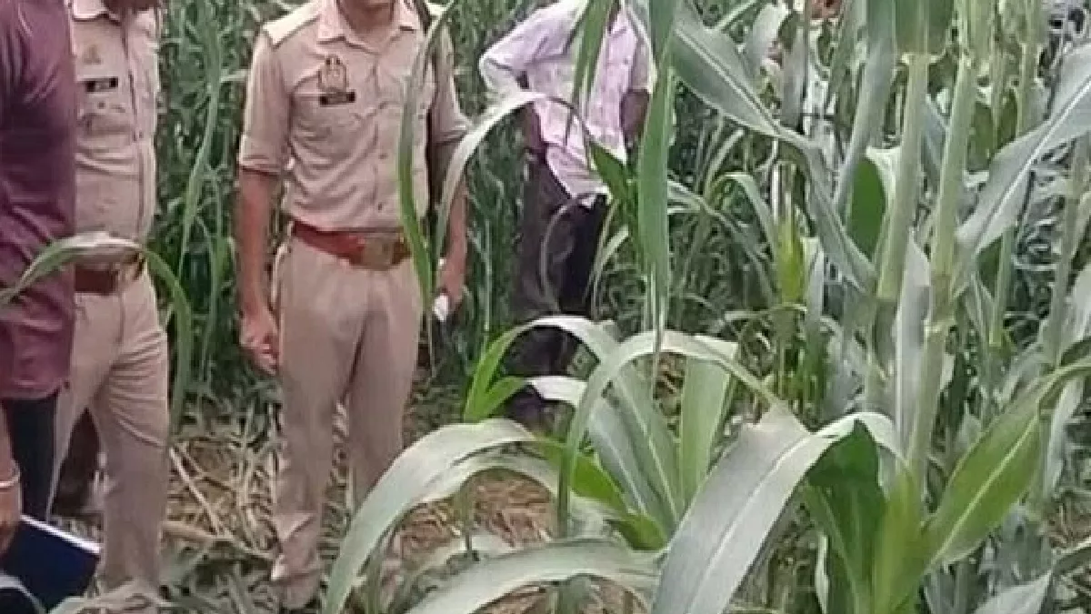 शर्मनाक: आगरा में बाजरे के खेत में मिला वृद्धा का शव, मुंह में ठूंसा था कपड़ा, दुष्कर्म के बाद हत्या का आरोप