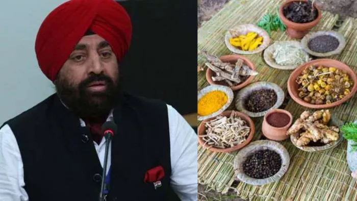 Ayurgyan Summit: राज्यपाल ने आयुर्ज्ञान सम्मेलन का किया शुभारंभ