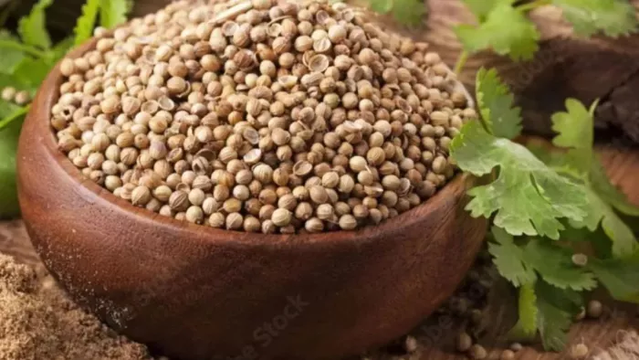 Coriander Water Benefits: धनिया के पानी पीने के फायदे जानकर हो जाएंगे हैरान
