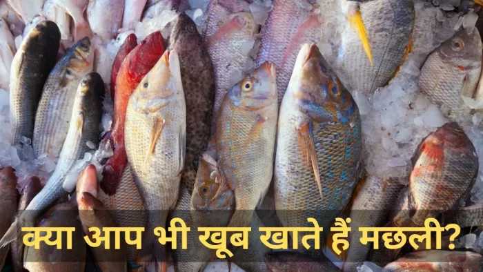 जानें कौन सी मछली है आपके लिए खतरनाक