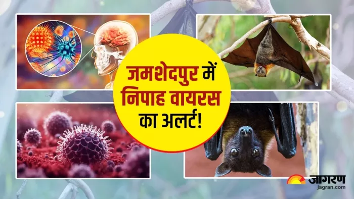 जमशेदपुर में डेंगू के बाद अब निपाह वायरस का अलर्ट।