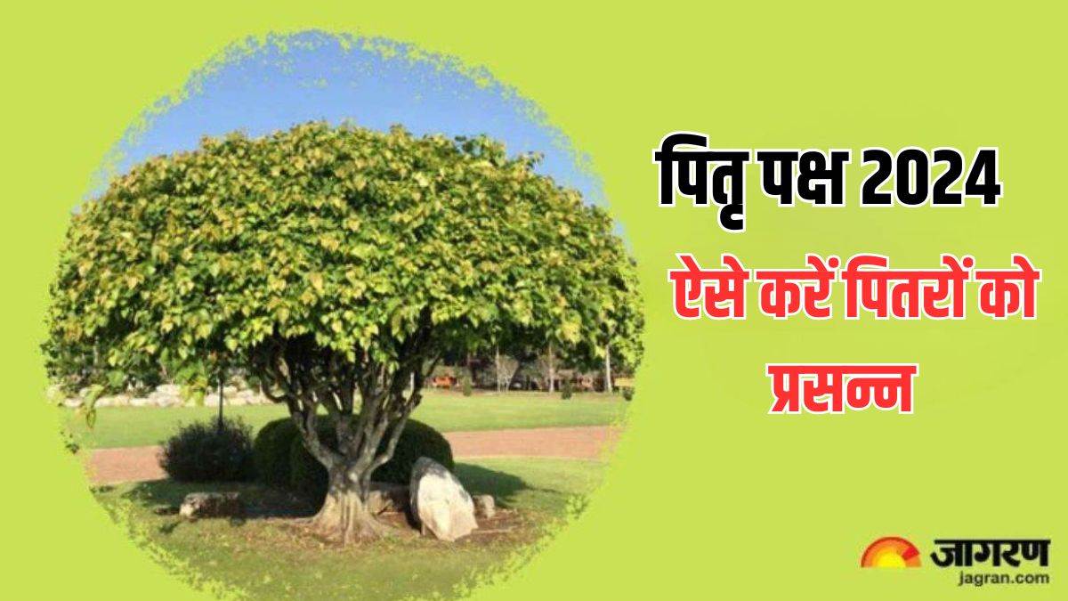 https://www.jagranimages.com/images/newimg/22092024/22_09_2024-peepal_ped_ke_upay__23801488.jpg
