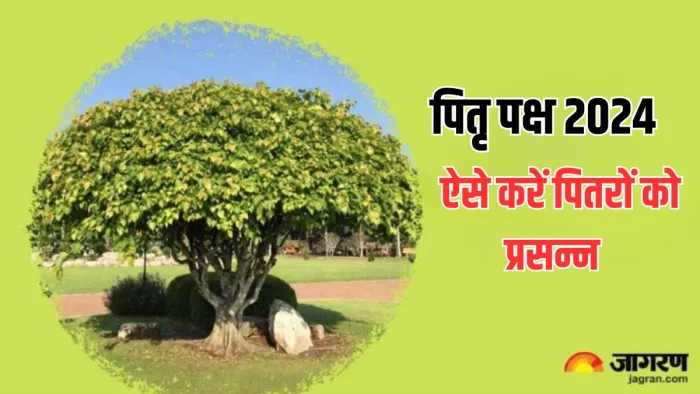 पीपल के पेड़ की पूजा से पितृ होंगे संतुष्ट