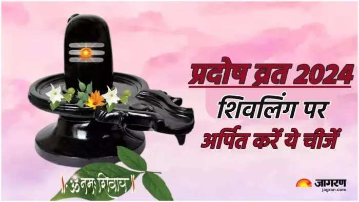 Lord Shiv: प्रदोष व्रत के दिन शिवलिंग की जरूर करें पूजा