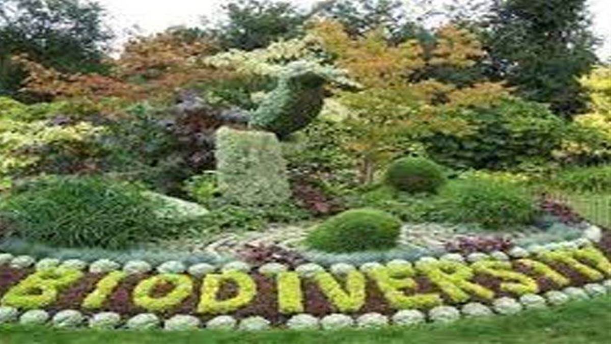 https://www.jagranimages.com/images/newimg/22092025/22_09_2025-biodiversity_conservation_24055508_0052192.jpg