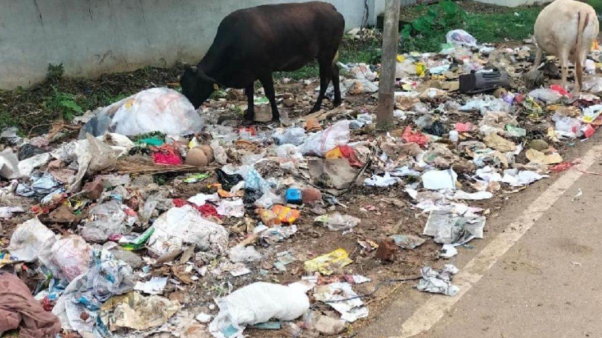 https://www.jagranimages.com/images/newimg/22092025/22_09_2025-garbage_crisis_24056002.jpg