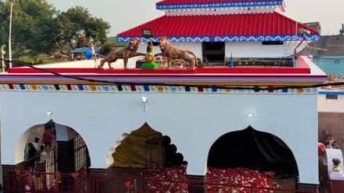 https://www.jagranimages.com/images/newimg/22092025/22_09_2025-navratri_2025_24056010.jpg