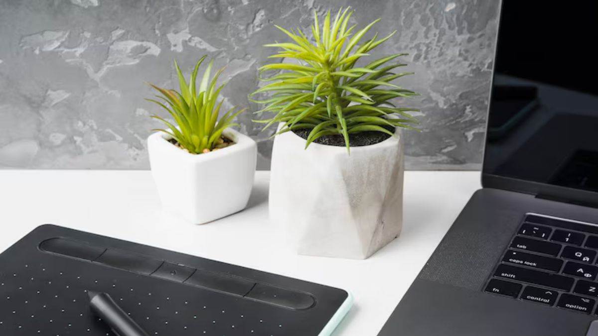 https://www.jagranimages.com/images/newimg/22092025/22_09_2025-plants_for_office_desk_24055165.jpg