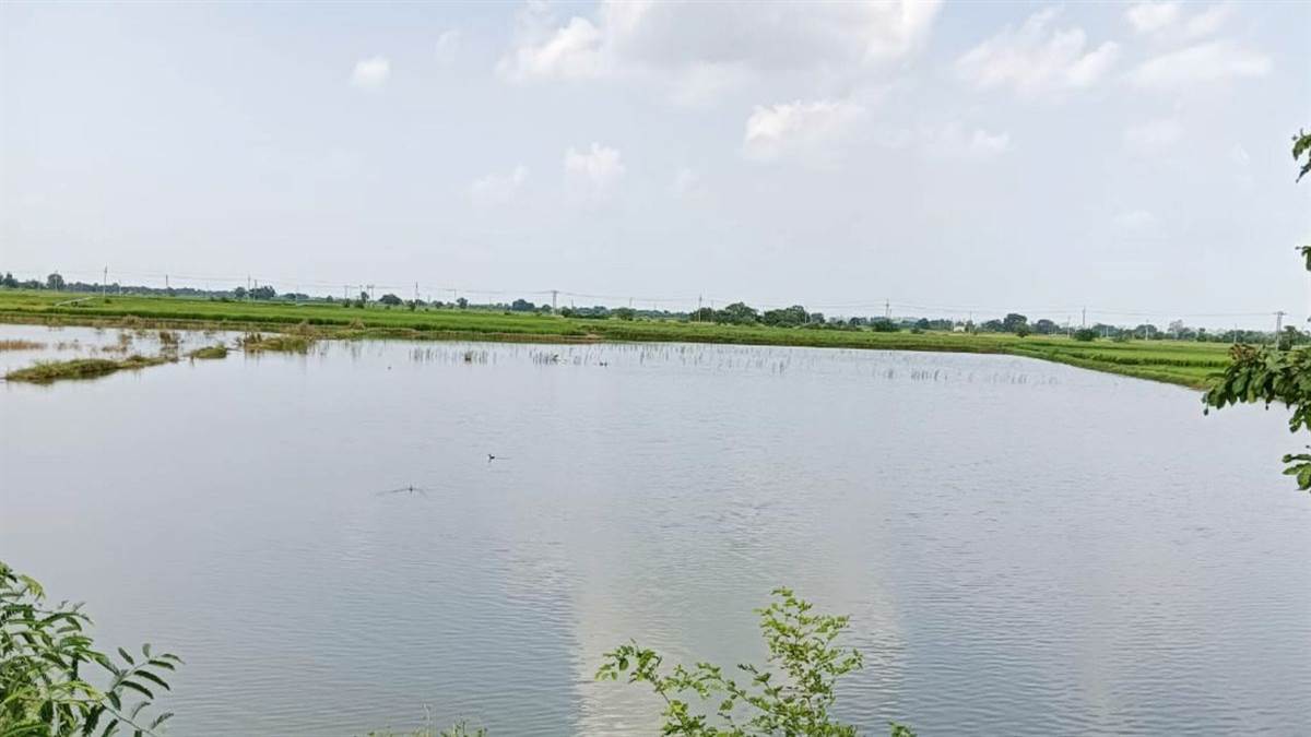 https://www.jagranimages.com/images/newimg/22092025/22_09_2025-sonipat_khabar_5_24056080.jpg