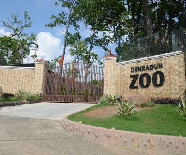 देहरादून जू में होगा उत्‍तराखंड का पहला स्नेक हाउस, अजगर की होंगी 12 प्रजातियां