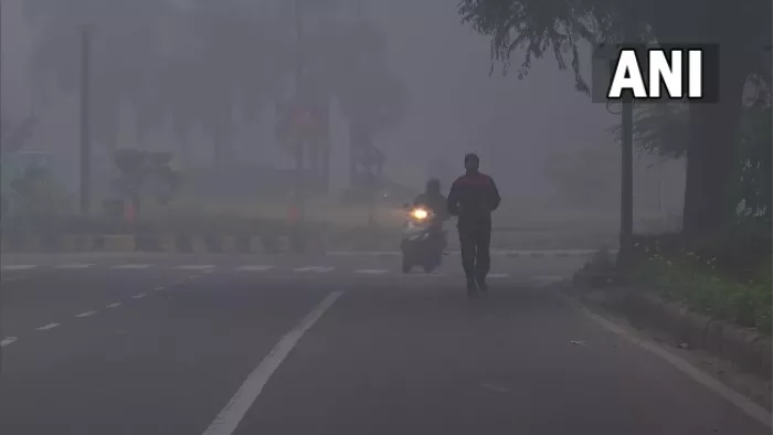 Delhi pollution: सफर इंडिया ने पराली पर रोक के प्रविधान को सख्ती से लागू करने की सिफारिश की है।