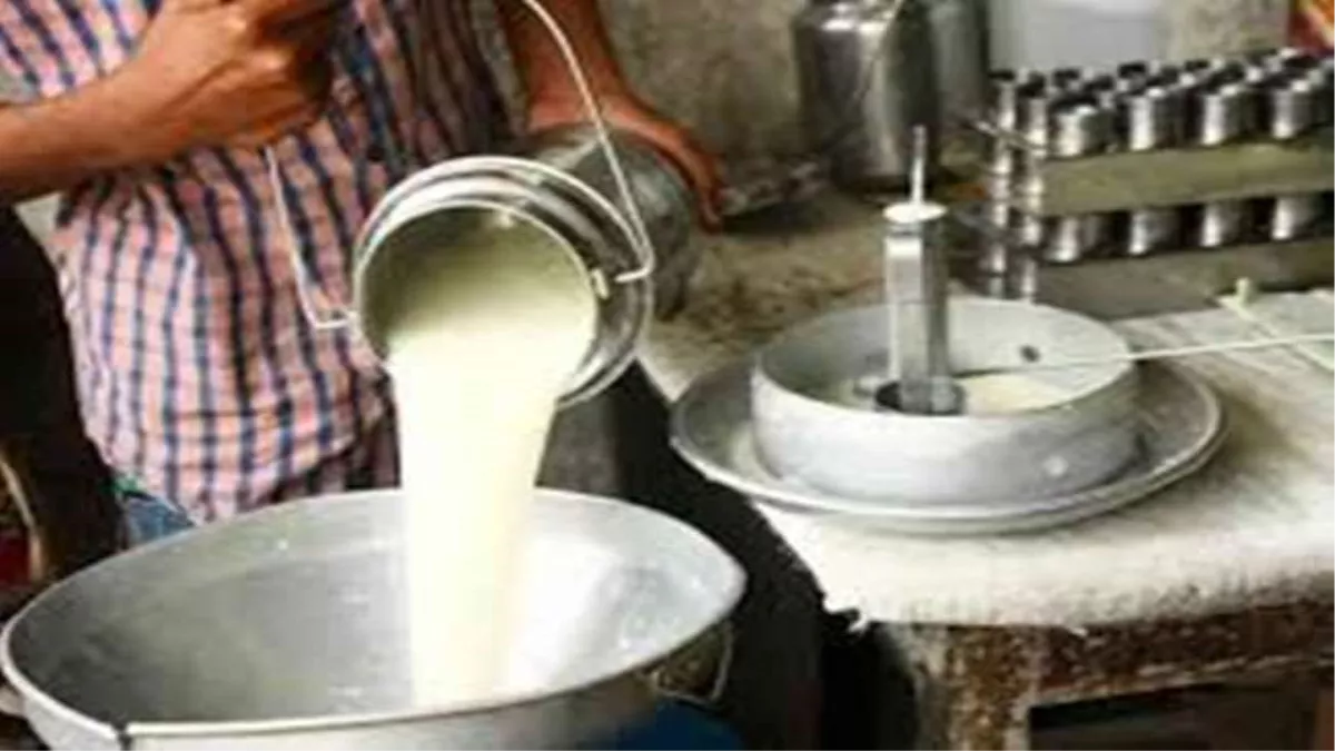 Rajasthan: अजमेर सरस डेयरी अध्यक्ष रामचंद्र चौधरी बोले- निजी कारोबारियों को दूध बेचने वाली सहकारी समिति की सदस्यता होगी रद 