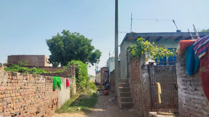 नरेला विधानसभा क्षेत्र का रजापुर कलां गांव। फोटो जागरण