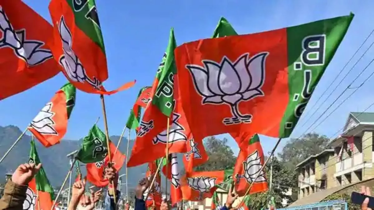 ???????? ??? ????? ?? ??? ??? ?????? 10000 ????, ?????????? ?? ????????? ?? ??? ???? ?????? - BJP will put up 10000 flags in Tamil Nadu in 100 days decision taken after arrest of worker