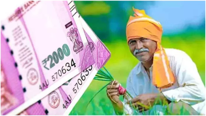 पीएम किसान योजना पर आया बड़ा अपडेट, इन किसानों से वापस ली जाएगी सम्मान निधि की राशि (प्रतीकात्मक तस्वीर)