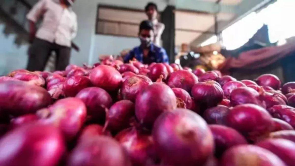 ncr onion will be available at low price in delhi