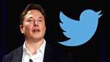 Elon Musk Pauses Relaunch Of Twitter