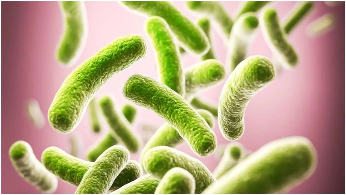 Bacterial Infections: बैक्टीरियल संक्रमण है 'दुनियाभर में मौत का दूसरा सबसे बड़ा कारण'!