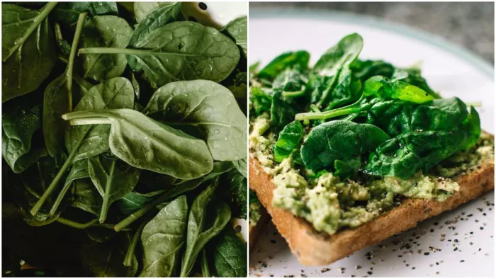 Spinach Benefits: सर्दियों में किसी सुपरफूड से कम नहीं है पालक, जानें इसके फायदे