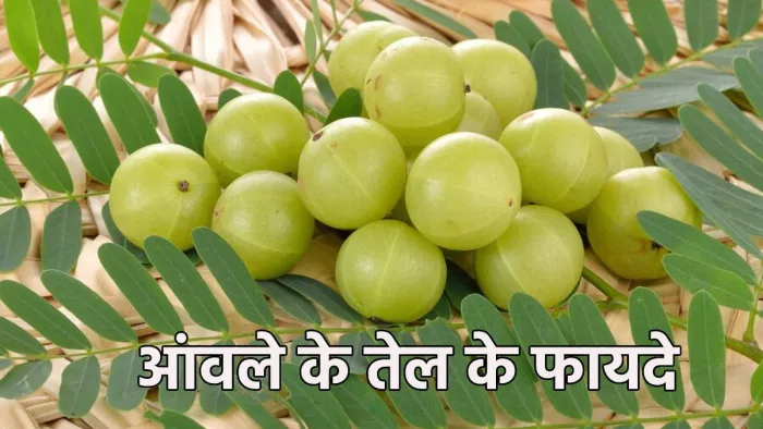 Hair Care: झड़ते बालों की समस्या दूर करने में बेहद असरदार है आंवले का तेल