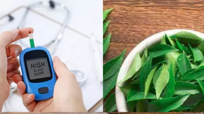 Diabetic Care Tips: ब्लड शुगर कंट्रोल करने में कारगर हैं ये पत्तियां