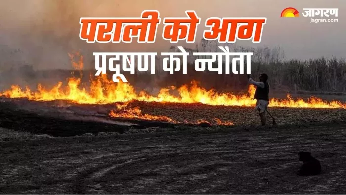 सरकार की सख्ती के बावजूद रुक नहीं रहे पराली जलाने के मामले। फाइल फोटो