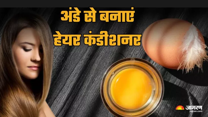 Hair Care Tips For Winter: सस्ते में बालों की देखभाल करेगा ये कंडीशनर। (image credit- freepik)