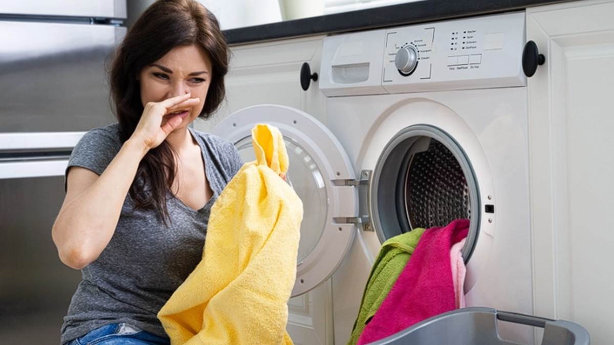 https://www.jagranimages.com/images/newimg/22112024/22_11_2024-front_load_vs_top_load_washing_machines_23835602.jpg