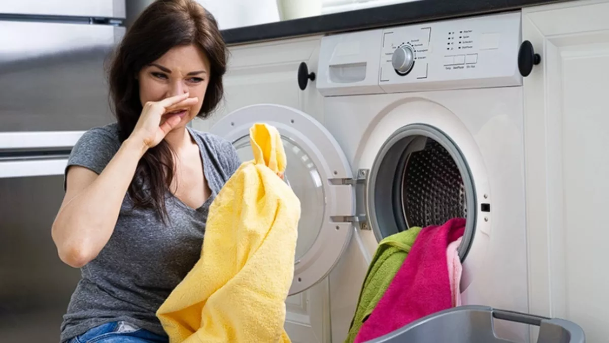 टंटा हो जाए Front Load और Top Load Washing Machines में तो, किसका सिंघासन पर होगा अधिकार? दाम के आधार पर जानिए