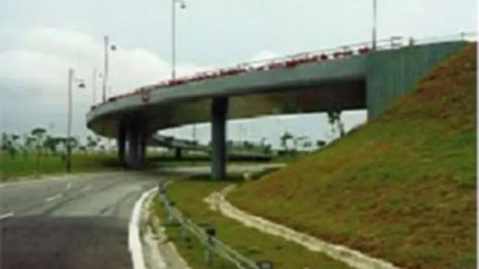 Elevated Road in Dehradun: एक और एलिवेटेड रोड का निर्माण प्रस्तावित। प्रतीकात्मक