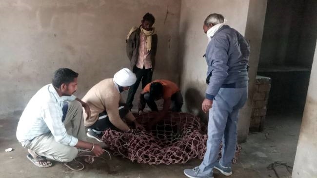 nilgai injured due to cobra wire grip