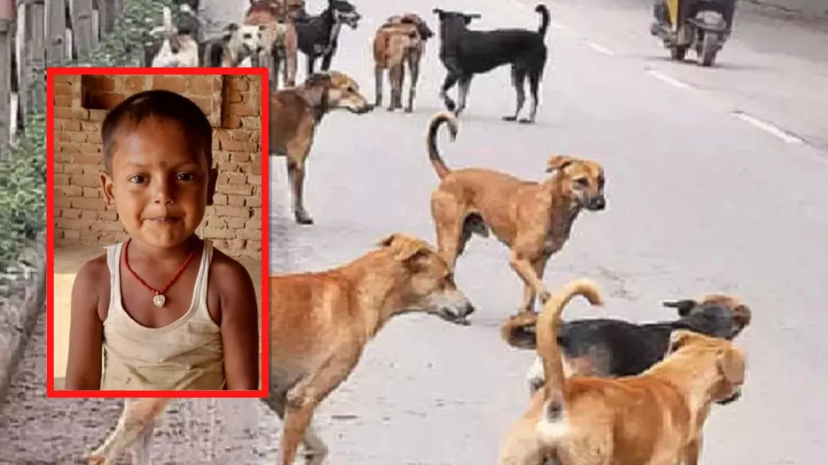 Bhagalpur Dog Bite: कुत्ते के चबाने से चेहरे पर लगे थे 32 टांके, 34 दिन बाद जिंदगी की जंग हारा 5 साल का सुमित