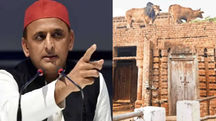 छत पर चढ़ा सांड तो अखिलेश यादव ने भाजपा पर कसा तंज