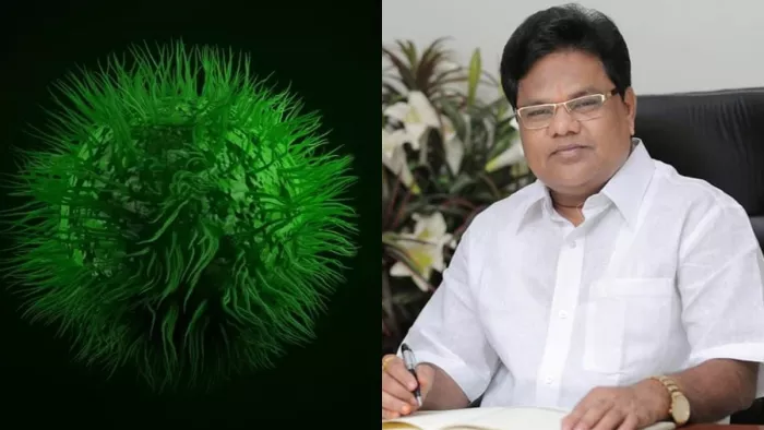 स्वास्थ्य मंत्री बोले- घबराने की जरूरत नहीं; हम पूरी तरह तैयार