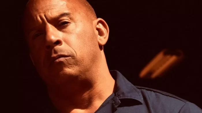 Vin Diesel पर लगा यौन उत्पीड़न का आरोप / Photo- Instagram