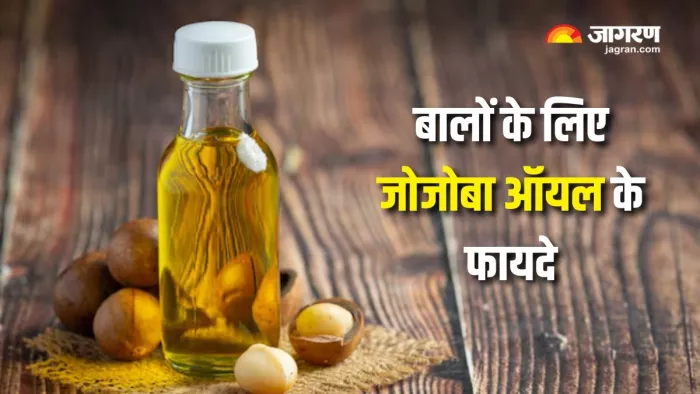जोजोबा ऑयल से बालों के मिलेंगे अनेक फायदे ( Picture Courtesy: Freepik)
