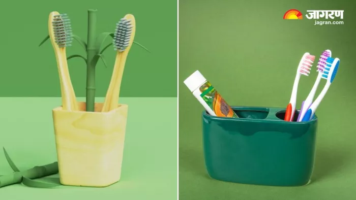 Oral Care: प्लास्टिक या बांस में से कौन-सा टूथब्रश है आपकी मुस्कान के लिए बेहतर? (Image Source: Freepik)